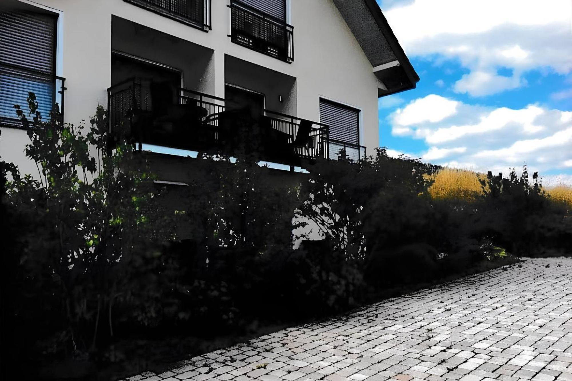 Ferienwohnung Blanco In Willingen Виллинген Экстерьер фото